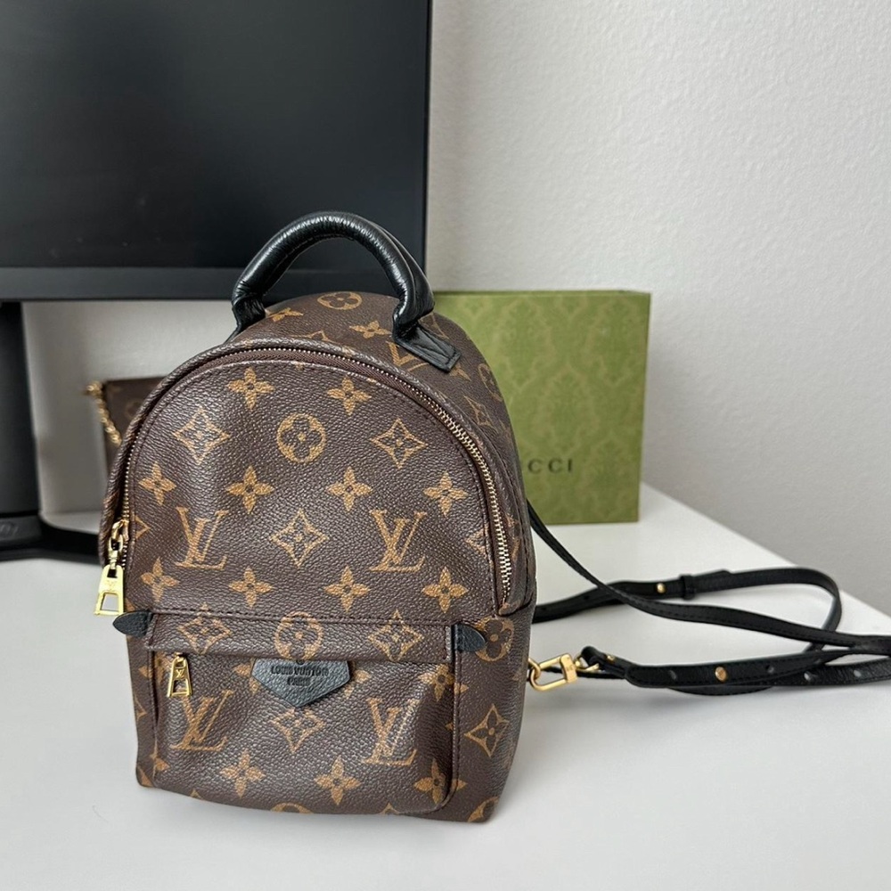 Louis Vuitton backpack Palm Springs PM backpack
